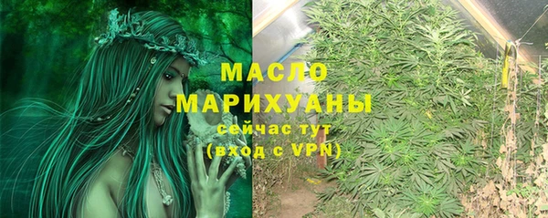 индика Киреевск