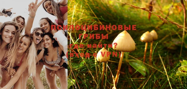 герыч Козловка