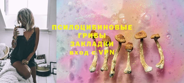 дмт Козельск