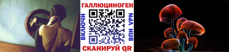 Псилоцибиновые грибы прущие грибы  blacksprut вход  Михайловка 